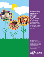 nciom promoting healthy weight