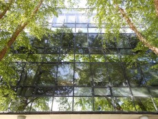 photo of reflection in trees on glass side of Sheps Center Building