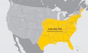 LoneStarTickMap