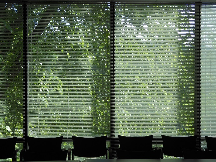 photo of windows in DeFriese conference room at the Sheps Center